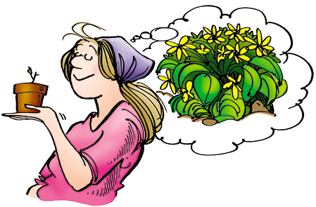 Elly daydreams about growing a plant from a seedling