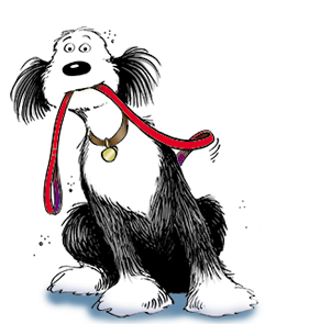Farley holding a leash in his mouth